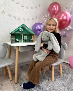 Ляльковий будинок "LOL HOUSE" Ляльковий будинок "LOL HOUSE"